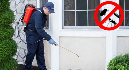 Havsa Böcek İlaçlama böcek ilaçlama ve haşere kontrolü — ilaclama-tr.com